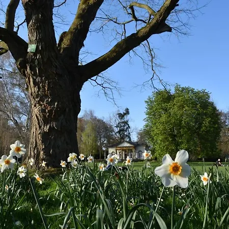 Urban Lifestyle Daire Bielefeld