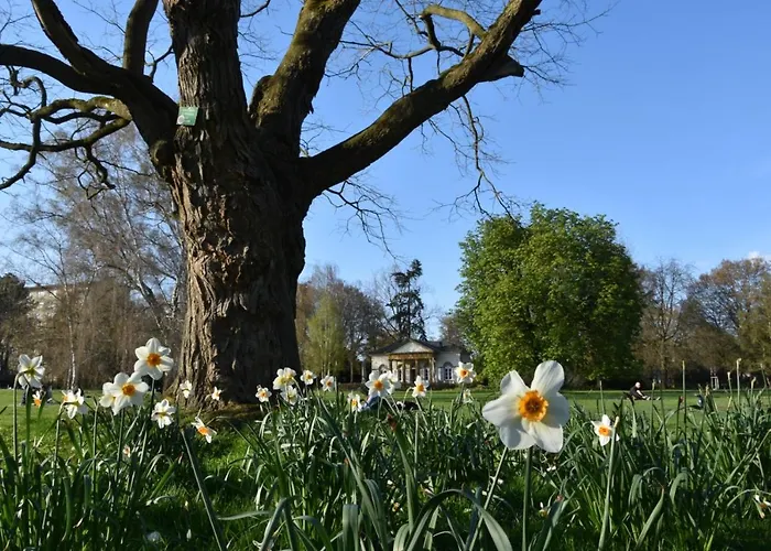 Urban Lifestyle Appartement Bielefeld